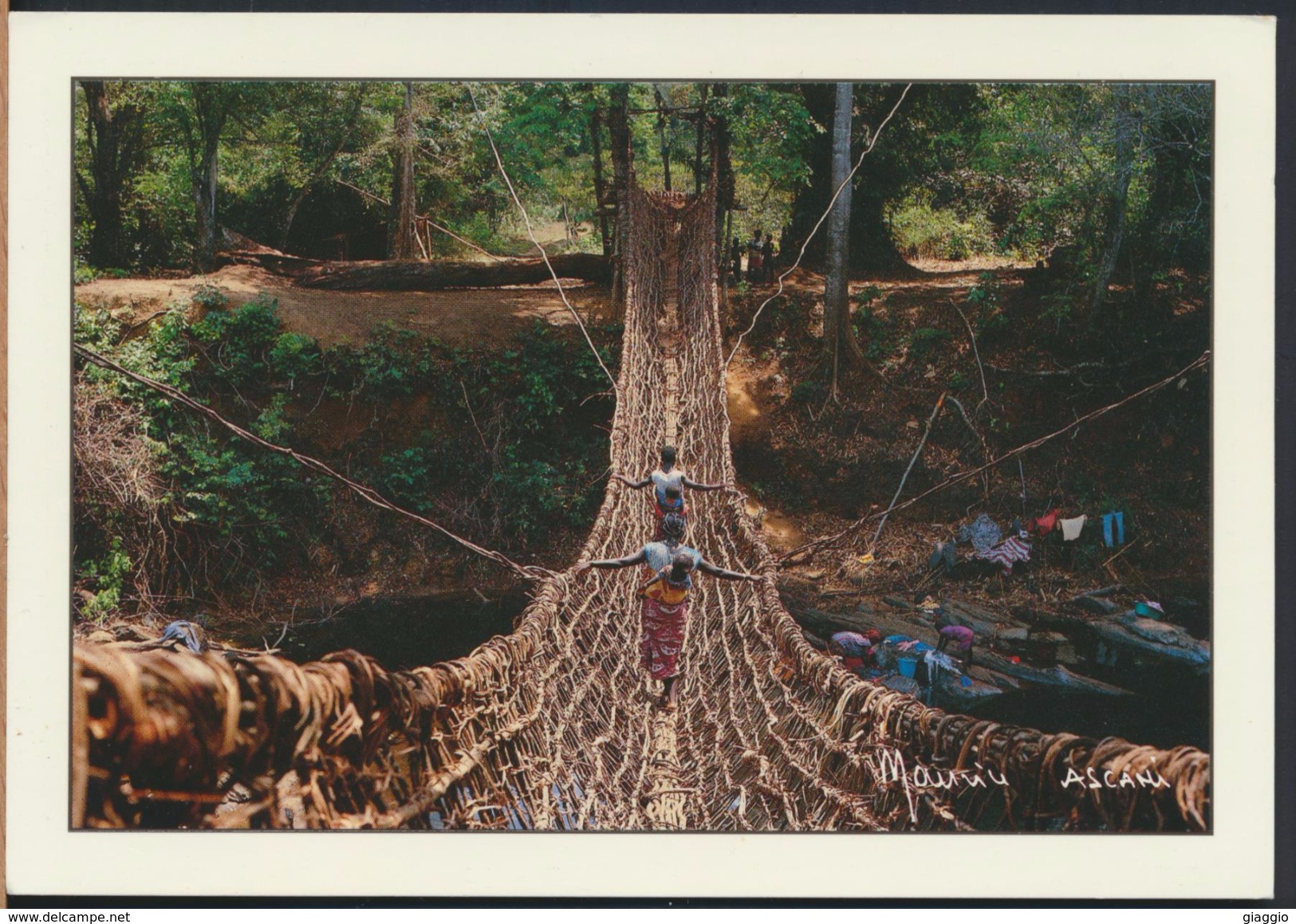 °°° 4595 - COTE D'IVOIRE - PONT DE LIANES DE TAHAPLEU SUR LE CAVALLY - 1995 °°° - Costa D'Avorio