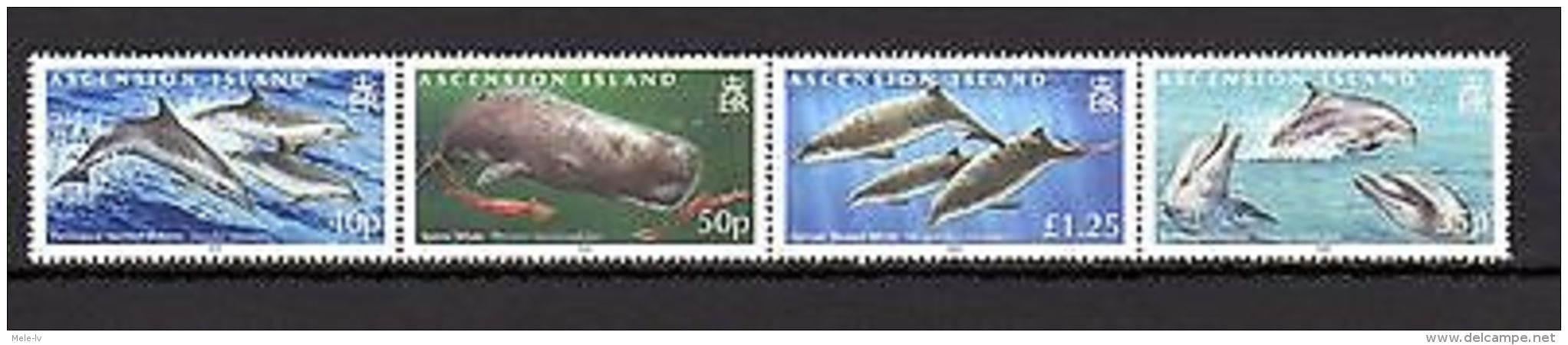 Ascension Islands 2009 Marine Life Whales Dolphins MNH Mi.1063-66 Klb. - Marine Life