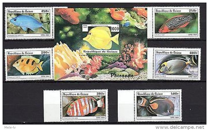 Guinea 1997 Fish MNH Mi.1645-50 Block 1651 --(cv $16) - Marine Life