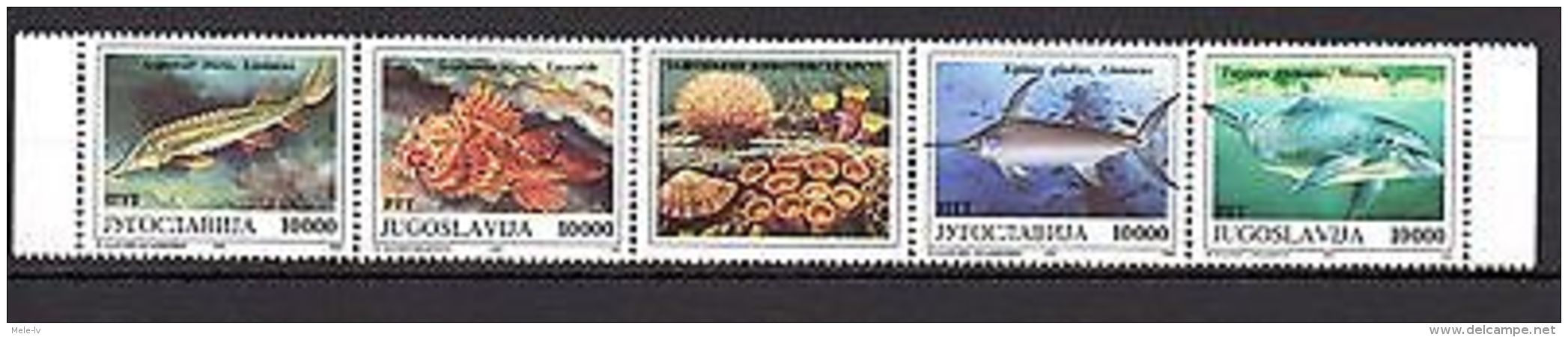 Yugoslavia 1993 Marine Life Fish MNH - Marine Life