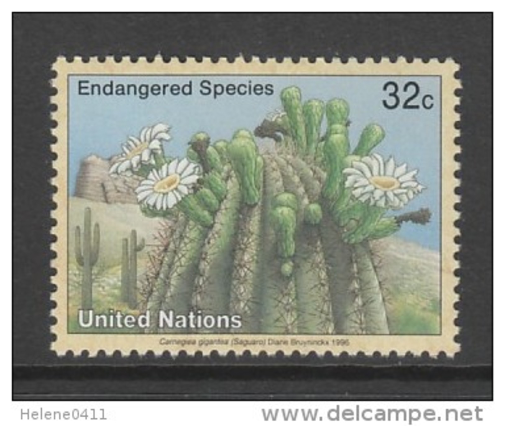 TIMBRE NEUF DES NATIONS UNIES N. Y. - CACTUS SAGUARO (CARNEGIEA GIGANTEA) N° Y&T 696 - Sukkulenten