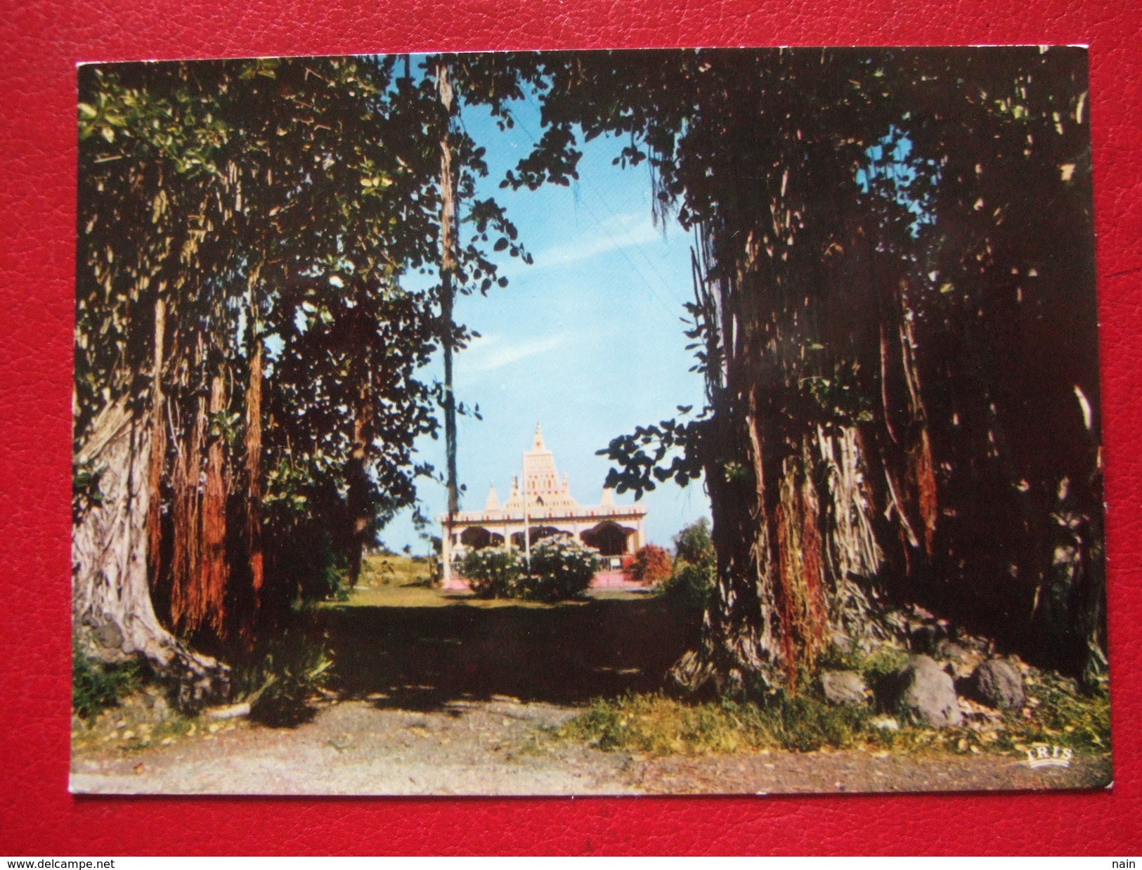 LA REUNION - BANANIERS ET TEMPLE MALABAR - - Saint Paul