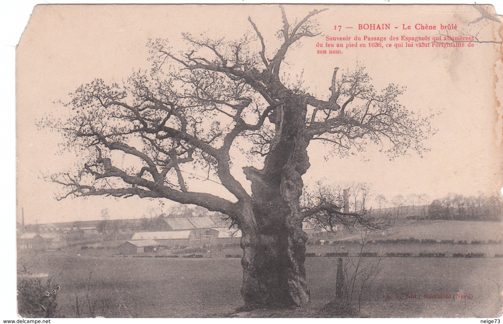 Carte Postale Ancienne Du Nord - Bohain - Le Chêne Brulé - Autres & Non Classés