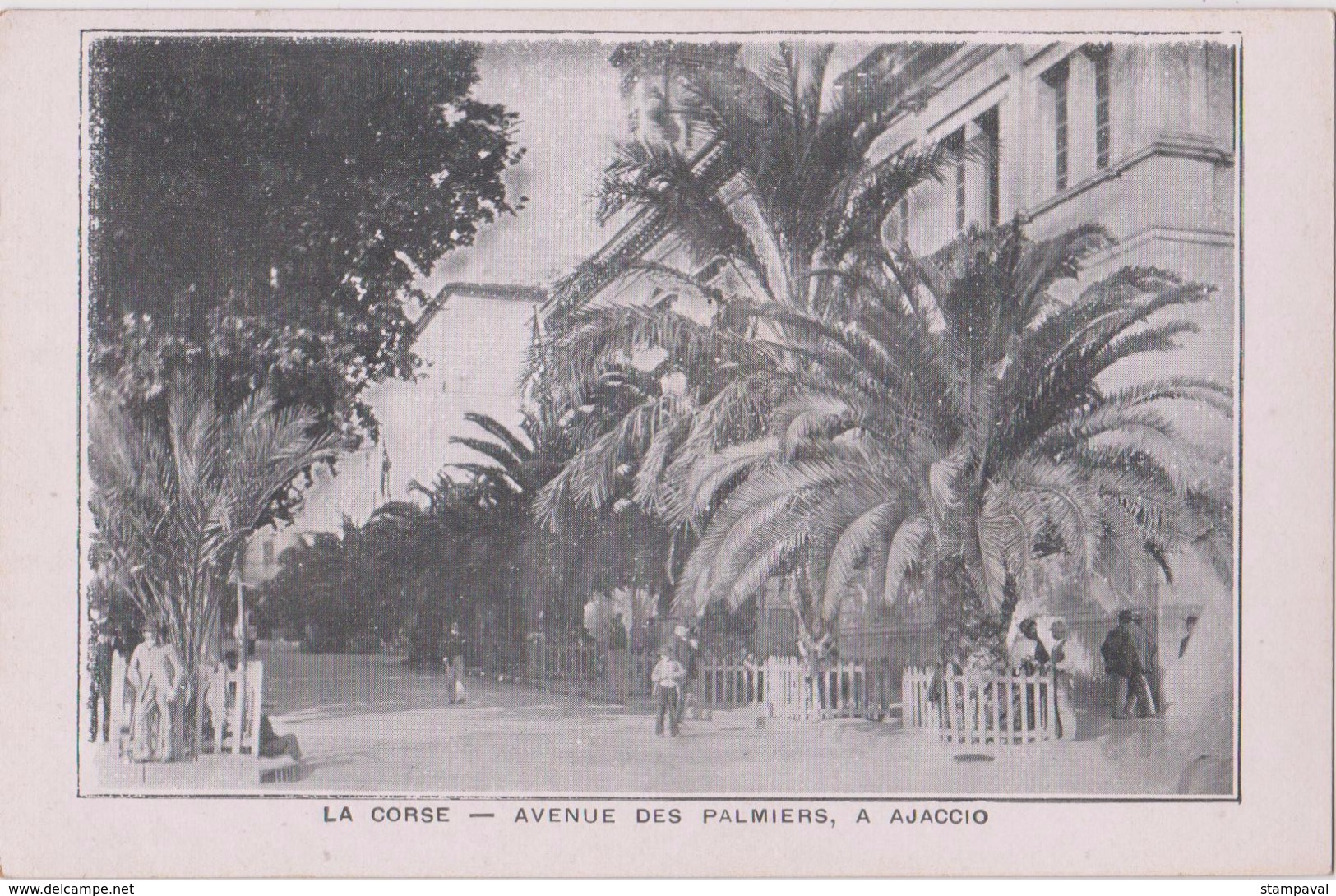 LA CORSE - AVENUE DES PALMIERS A AJACCIO - Ajaccio