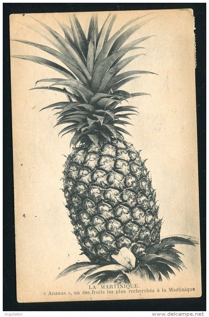 MARTINIQUE FRENCH WEST INDIES HUNGARY POSTAGE DUE PINEAPPLE 1922 - Covers & Documents