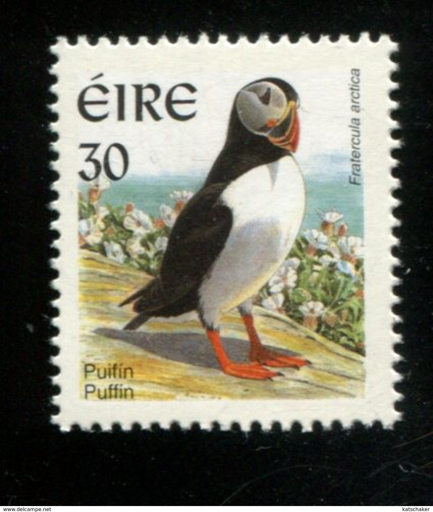 448285181 IERLAND 1999 POSTFRIS MINTNEVER HINGED POSTFRISCH OHNE FALZ  NEUF YVERT 1135 BIRDS VOGELS - Neufs