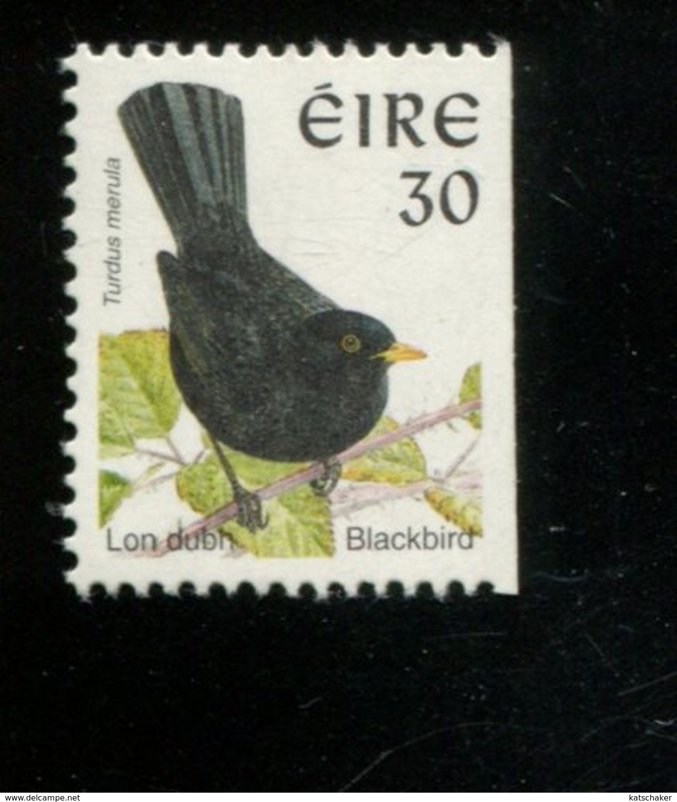 448287197 IERLAND 1998 POSTFRIS MINTNEVER HINGED POSTFRISCH OHNE FALZ  NEUF YVERT1065 RECHTS ONGETAND VOGELS BIRDS - Neufs