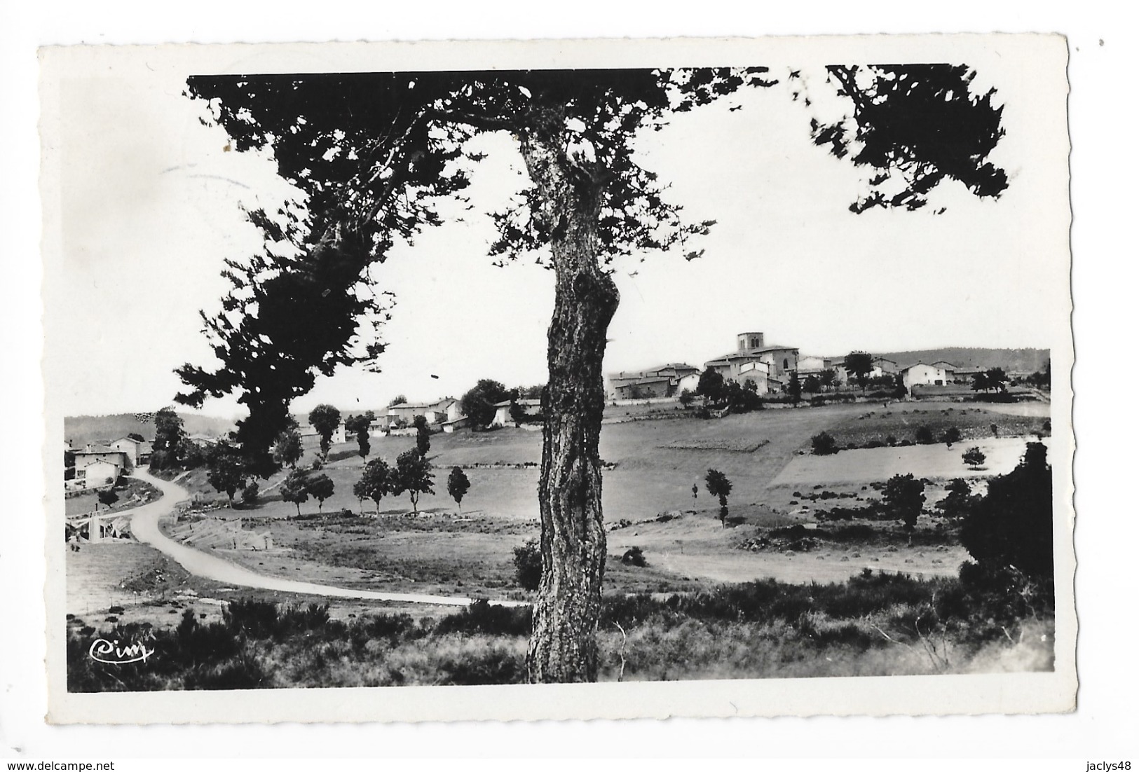 FOURNOLS  (cpsm 63)  Pêche, Champignons, Piscine - Vue Générale -  - L 1 - Autres & Non Classés