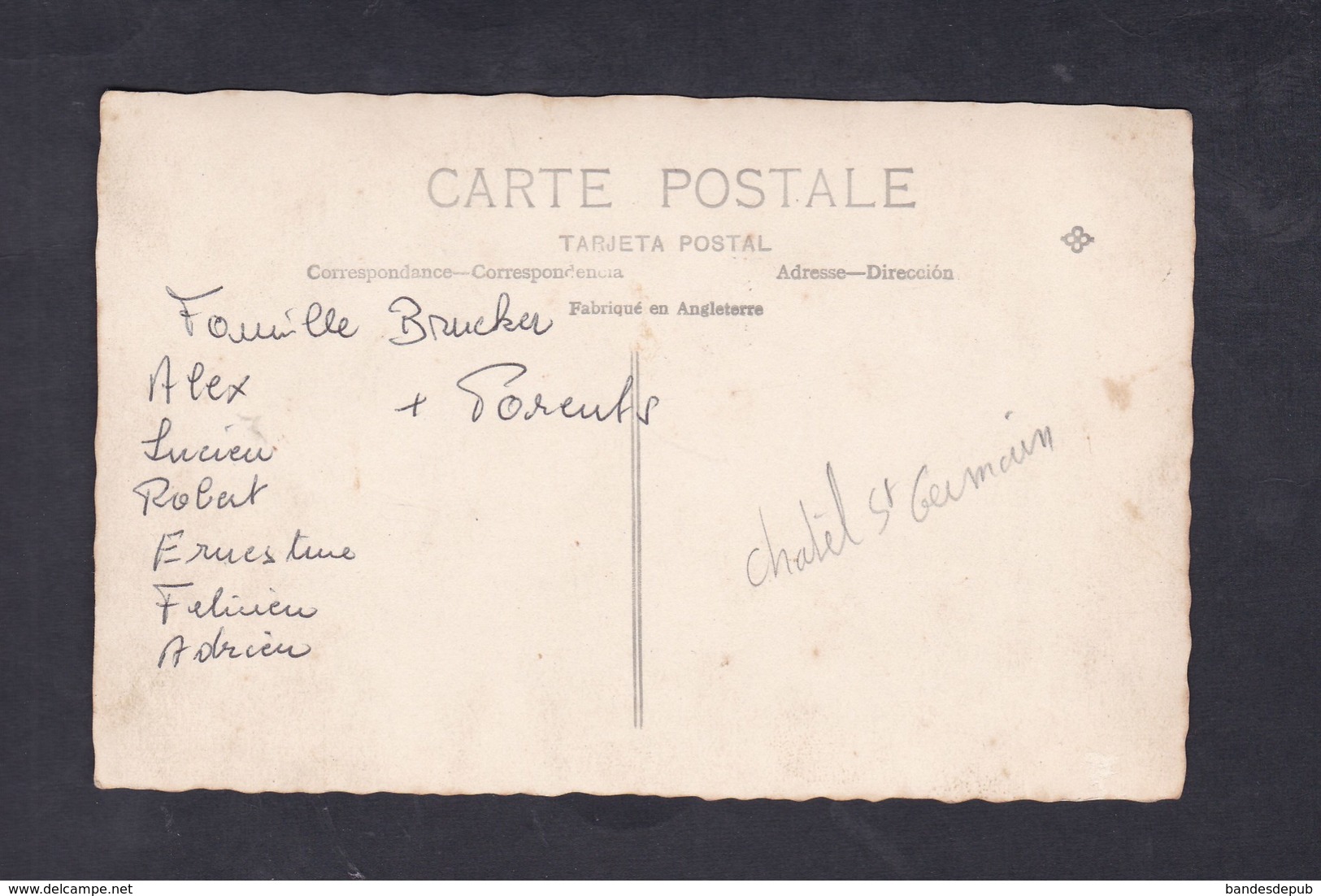 Carte Photo Genealogie Famille Nombreuse Parents Et Enfants Brucker Chatel Saint Germain - Other & Unclassified