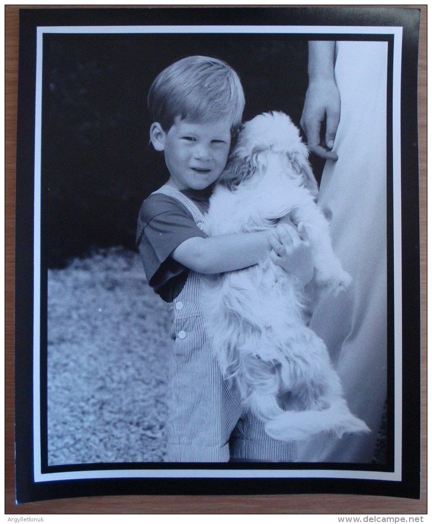 FINE ORIGINAL PRESS PHOTO PRINCE HARRY & DOG IN MAJORCA ON HOLIDAY 1987 - Famous People