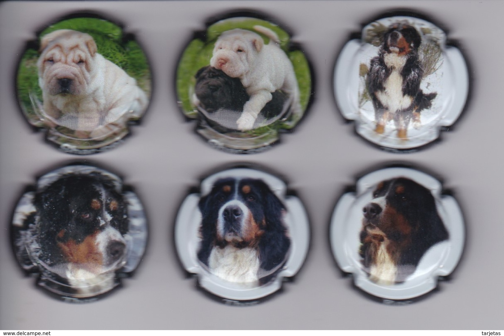 SERIE COMPLETA DE 6 PLACAS DE CAVA DE PERROS (CAPSULE) PERRO-CAN-DOG - Placas De Cava