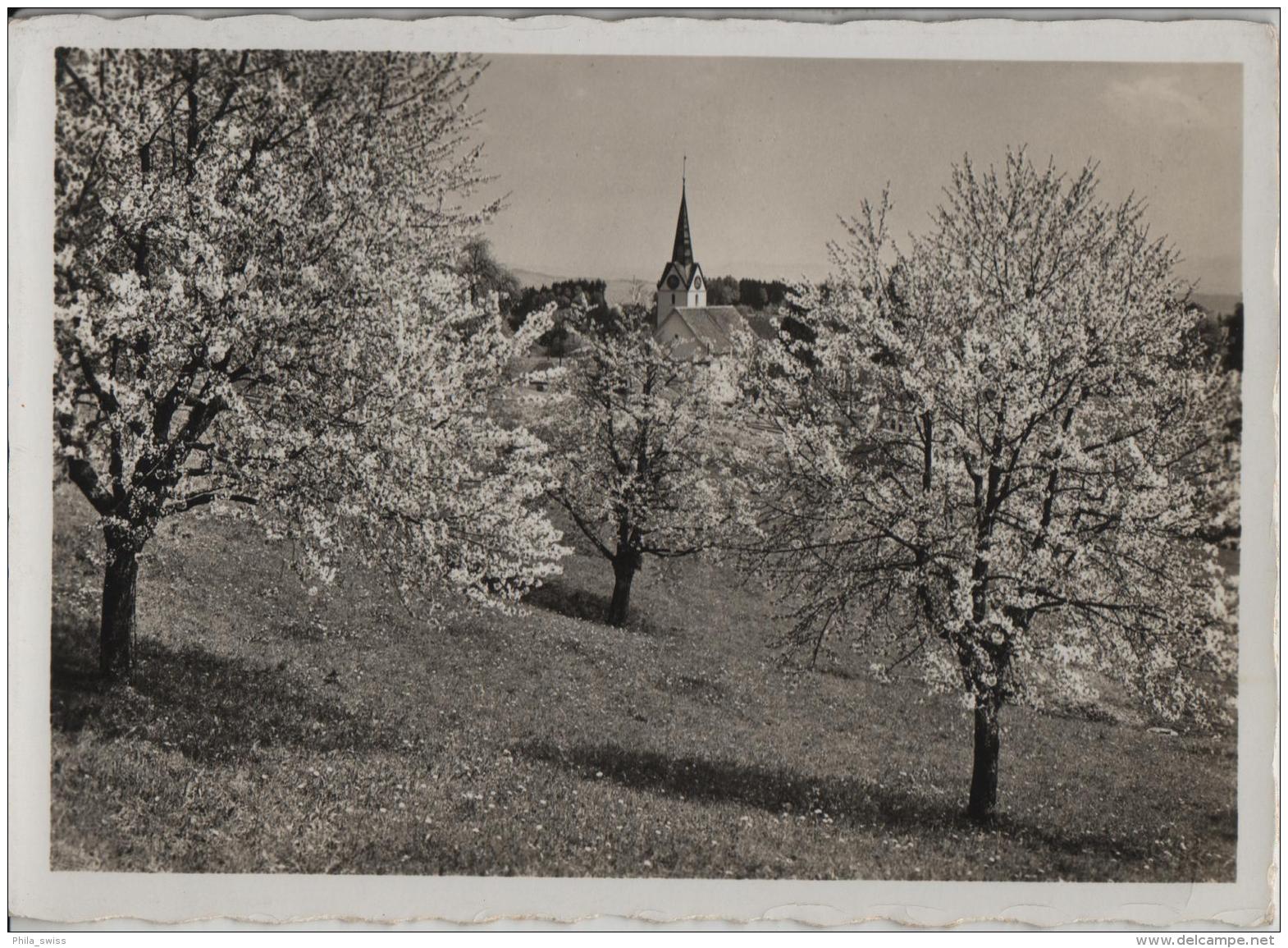 Hirzel Im Blütenschmuck - L'epoque De La Floraison - Photo: J. Gaberell - Hirzel