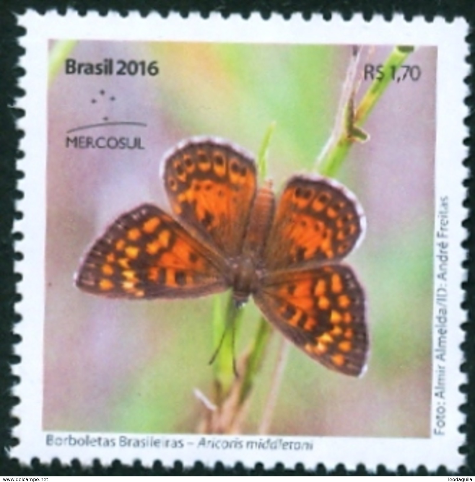 BRAZIL 2016  - BRAZILIAN BUTTERFLIES  -  PAPILLON - ARICORIS MIDDLETONI  - MINT - Neufs