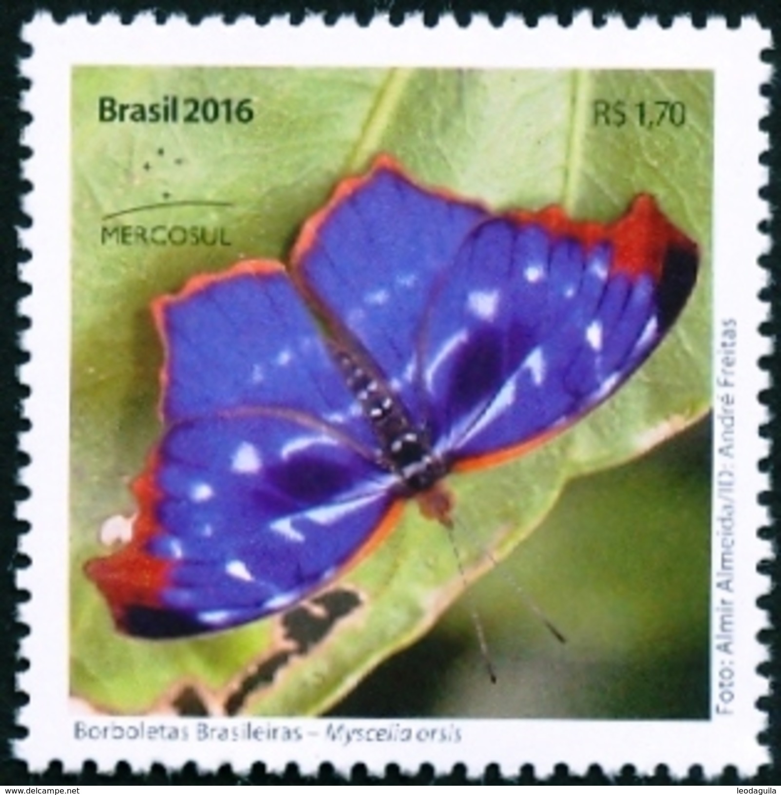 BRAZIL 2016  - BUTTERFLY  - MYSCELIA ORSIS  - MINT - Ongebruikt