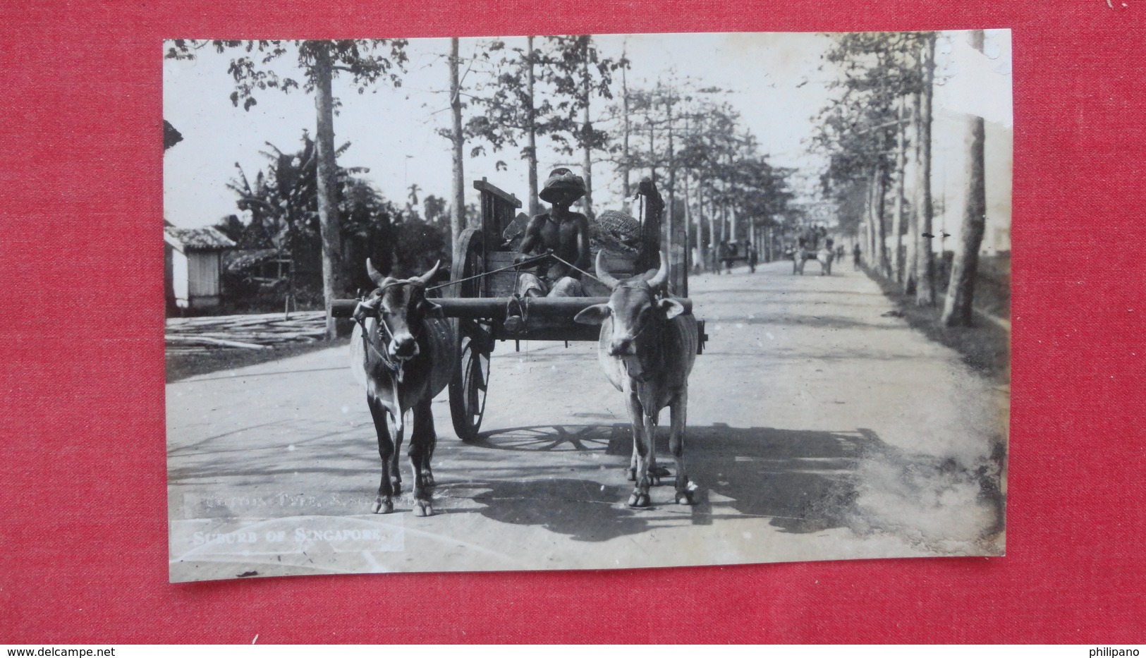 Singapore RPPC-- Ox Cart  Top Corner Flack --ref 2574 - Singapore