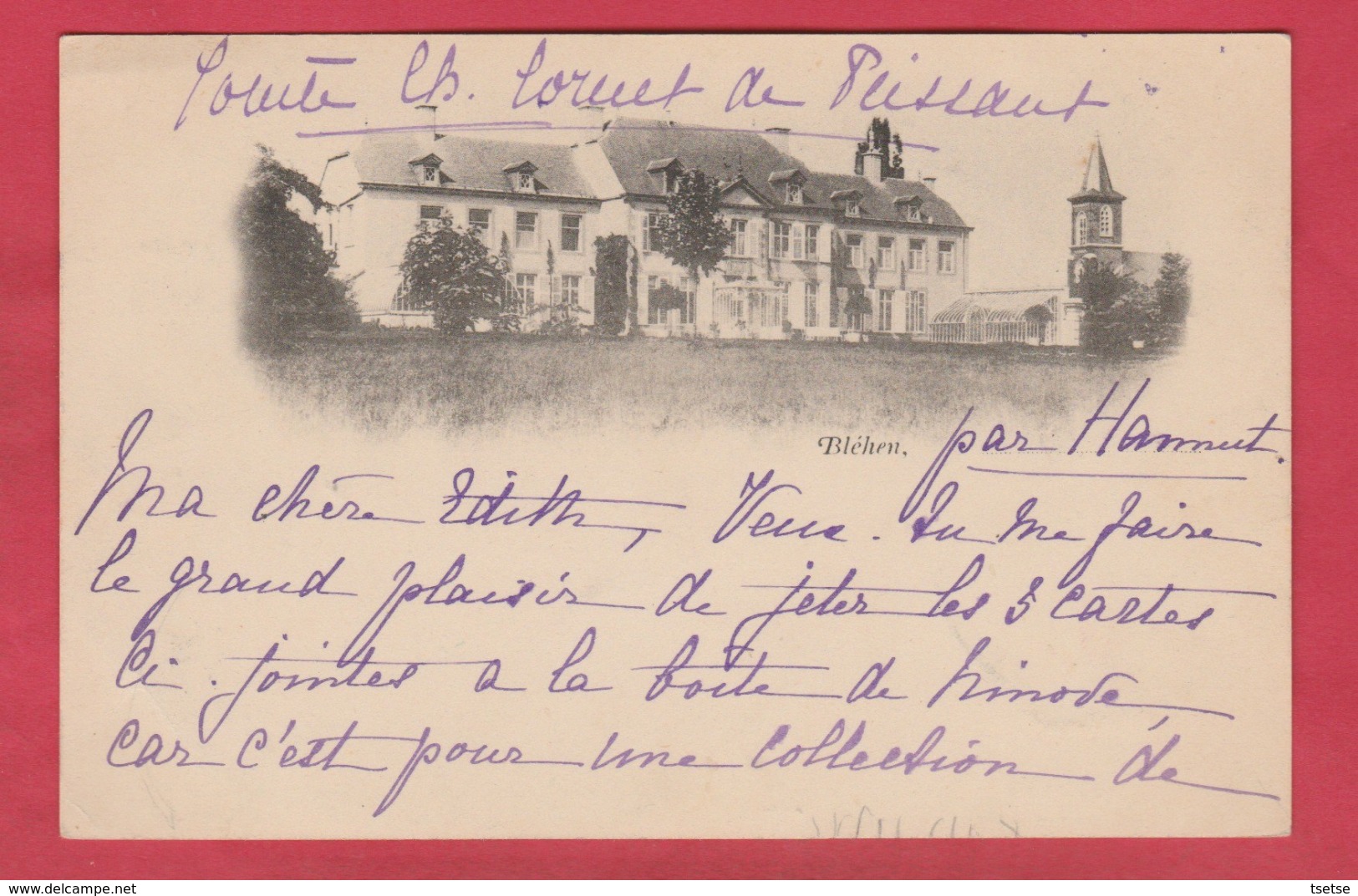 Blehen ... Le Château ... Carte Photo  ( Voir Verso ) - Hannut