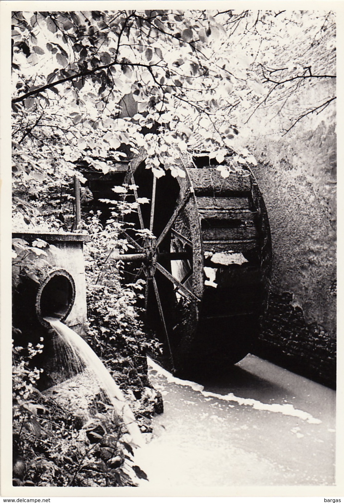 Photo Originale Moulin Molen à Sint Lievens Houtem - Lieux