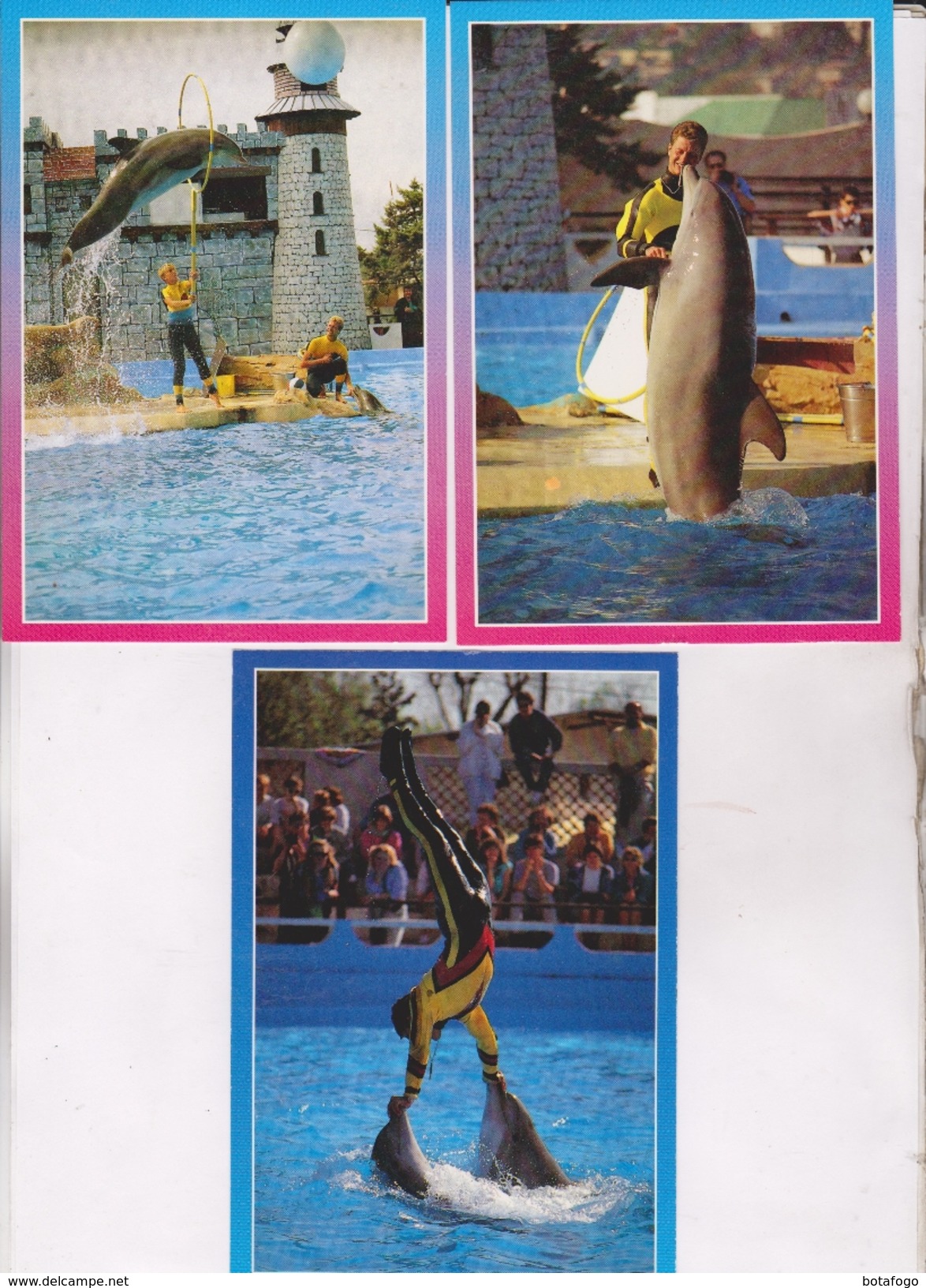 3 CPM MARINELAND DPT 06 ANTIBES,SPECTACLE DES DAUPHINS - Dauphins