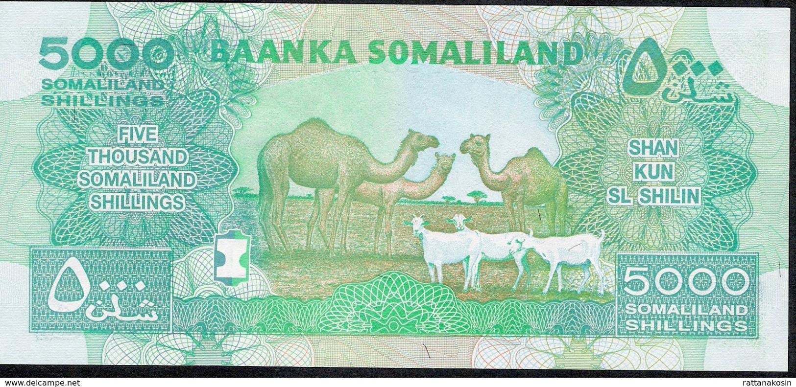 SOMALILAND P21c 5000 SHILLINGS DATED 2015 Issued In 2017 UNC. - Somalia