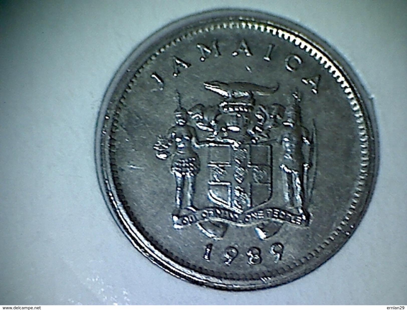 Jamaique 5 Cents 1989 - Jamaique