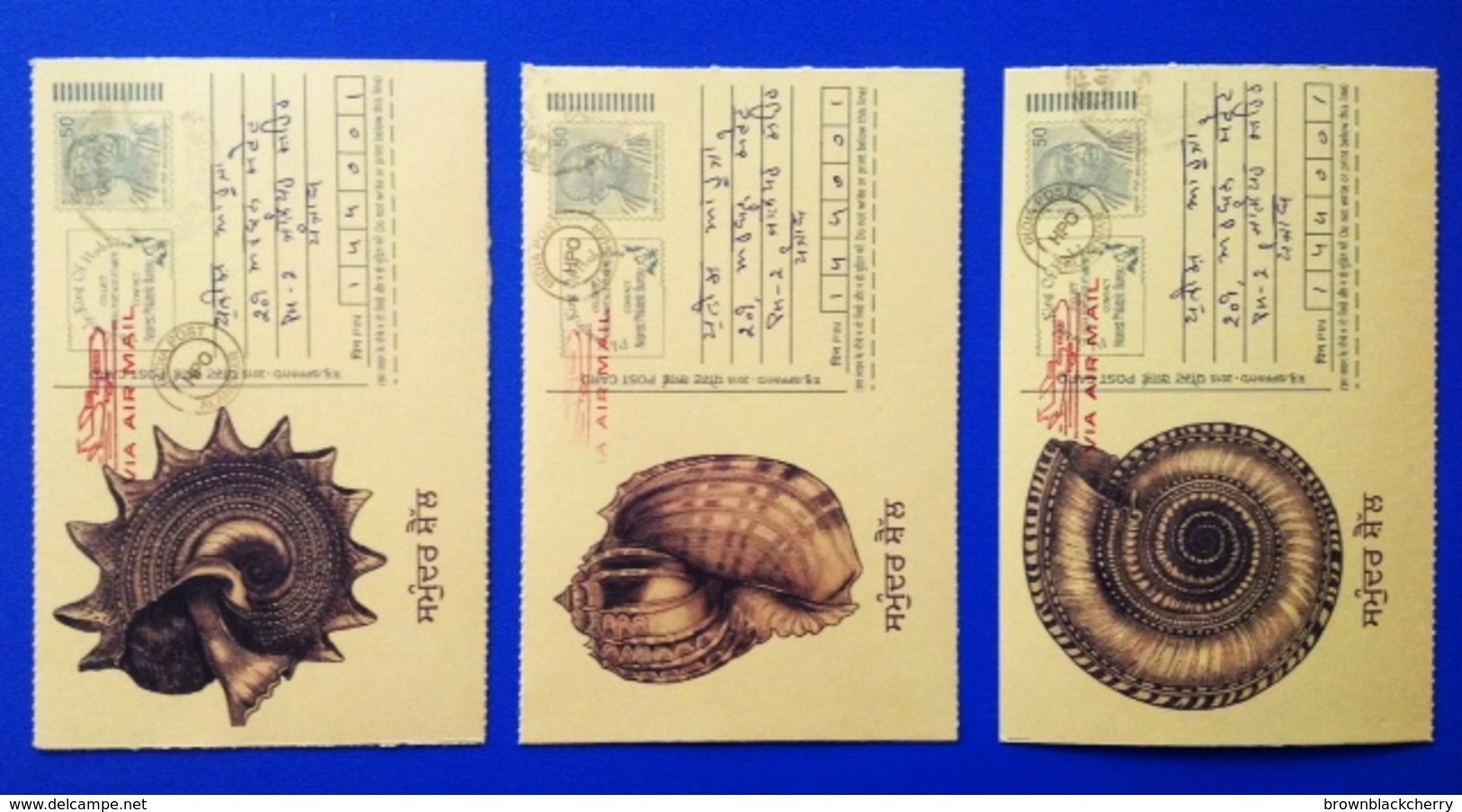 Postally USED Prepaid Postal Postcard Set - Sea Shell Shells - Coquillages