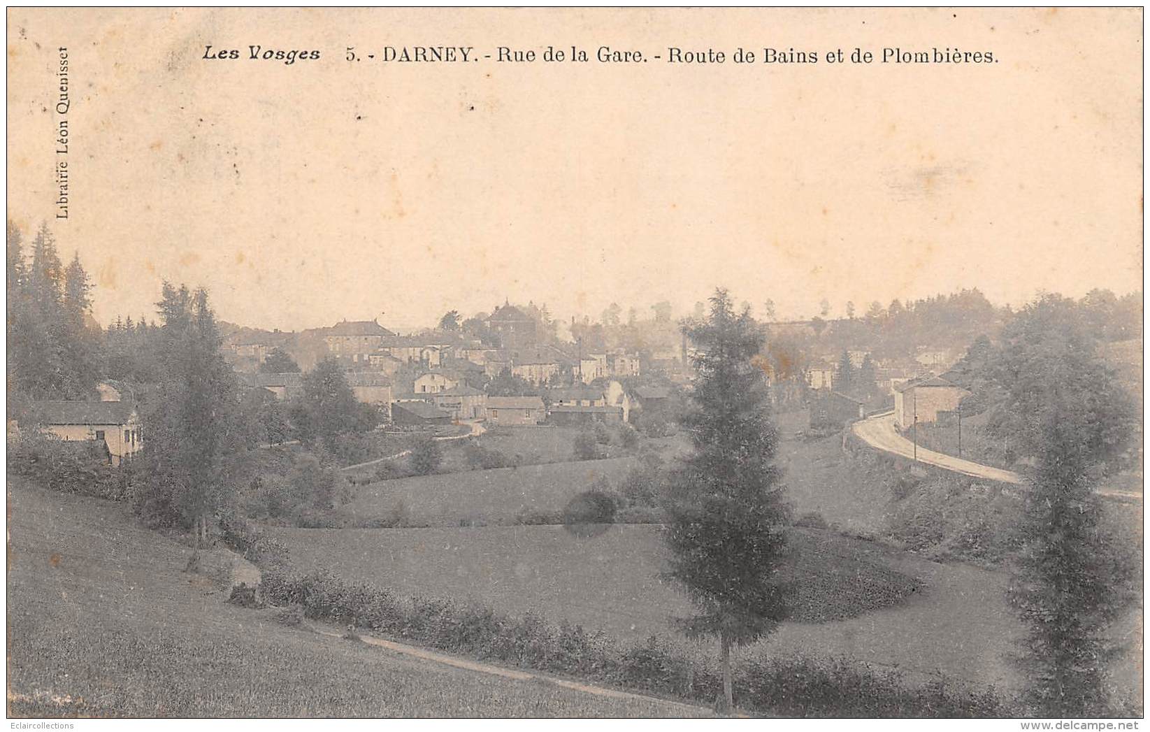 Darney      88      Rue  De La Gare.    Route  De Bains Et De Plombières      (voir Scan) - Darney