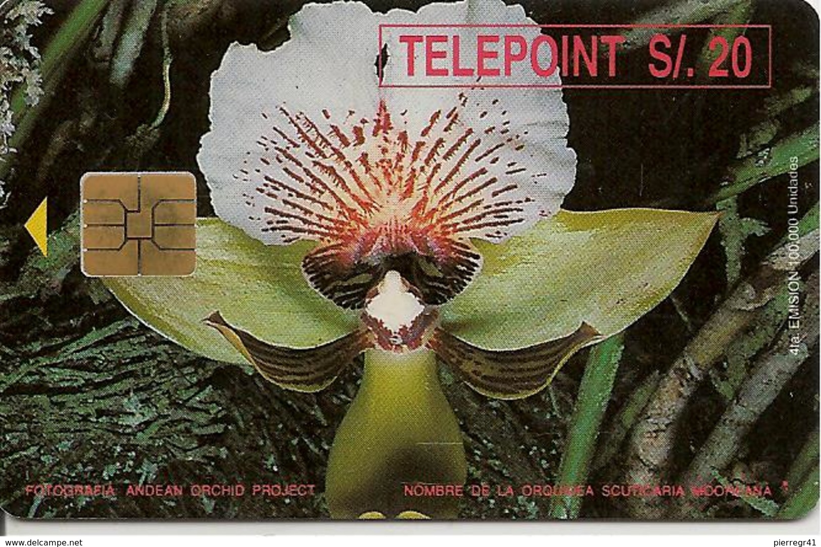 CARTE-PUCE-PEROU-TELEPOINT-ORCHIDEE-TBE-RARE - Fleurs