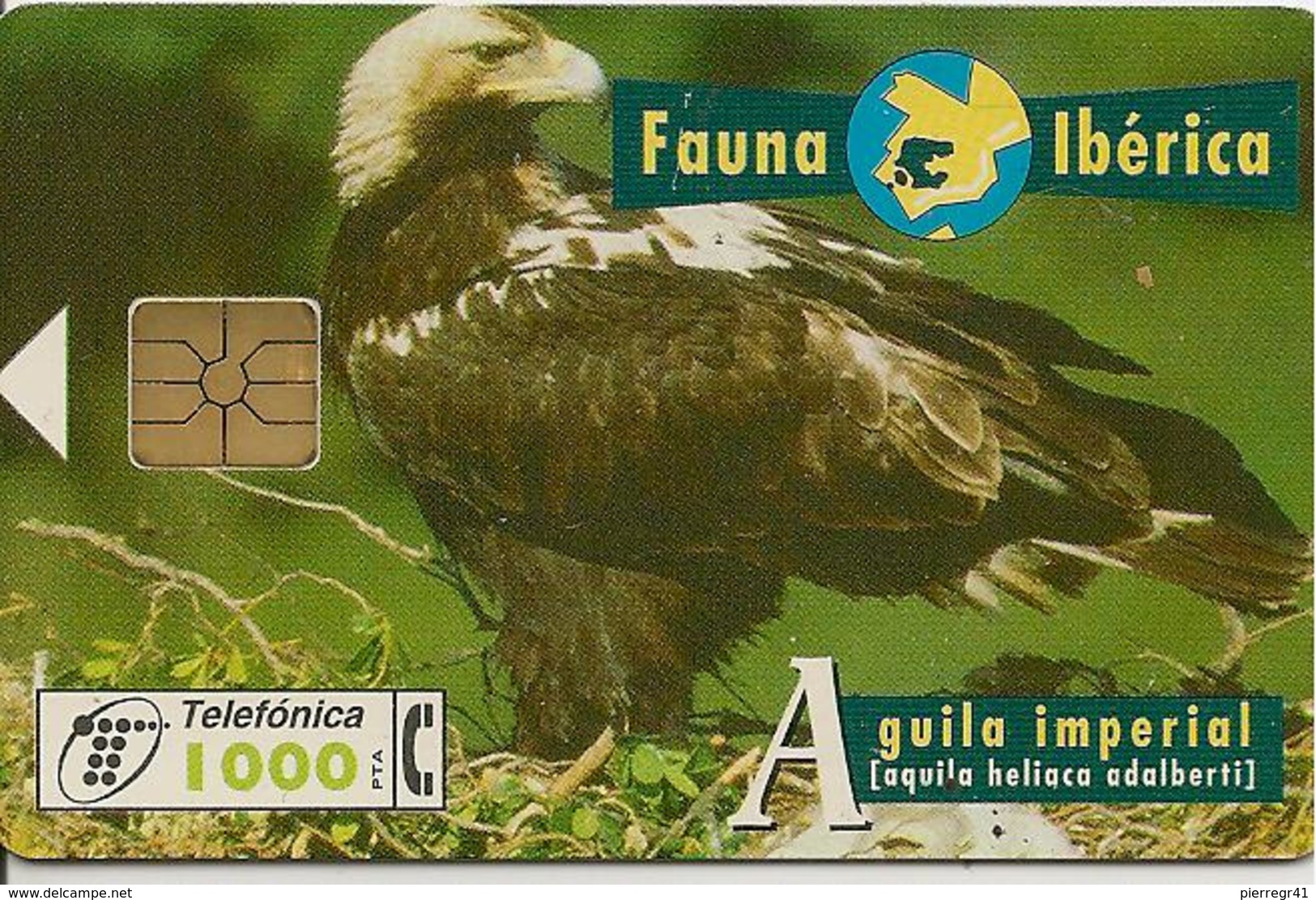 CARTE-PUCE-ESPAGNE-Gem-05/96-AIGLE IMPERIAL-TBE- - Arenden & Roofvogels