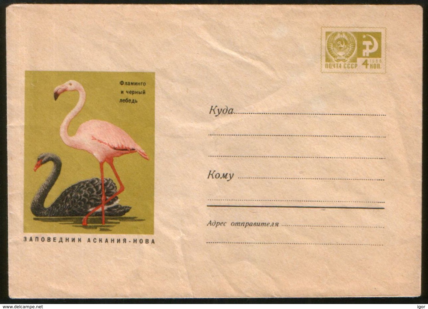 Russia USSR 1968 Stationery Cover Fauna, Birds; Flamingo And Black Swan - Flamingos