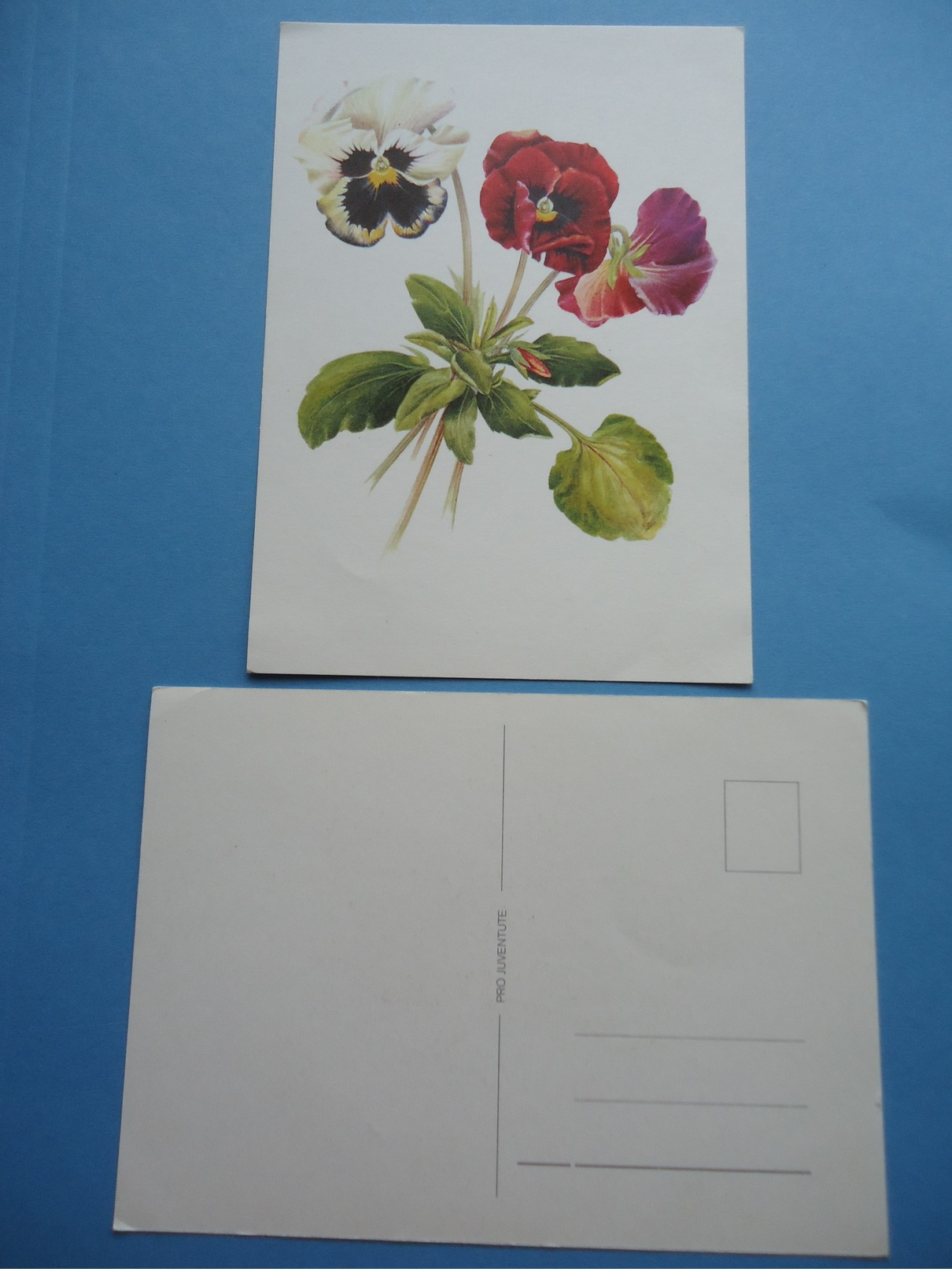 Postcard PRO JUVENTUTE - Flowers