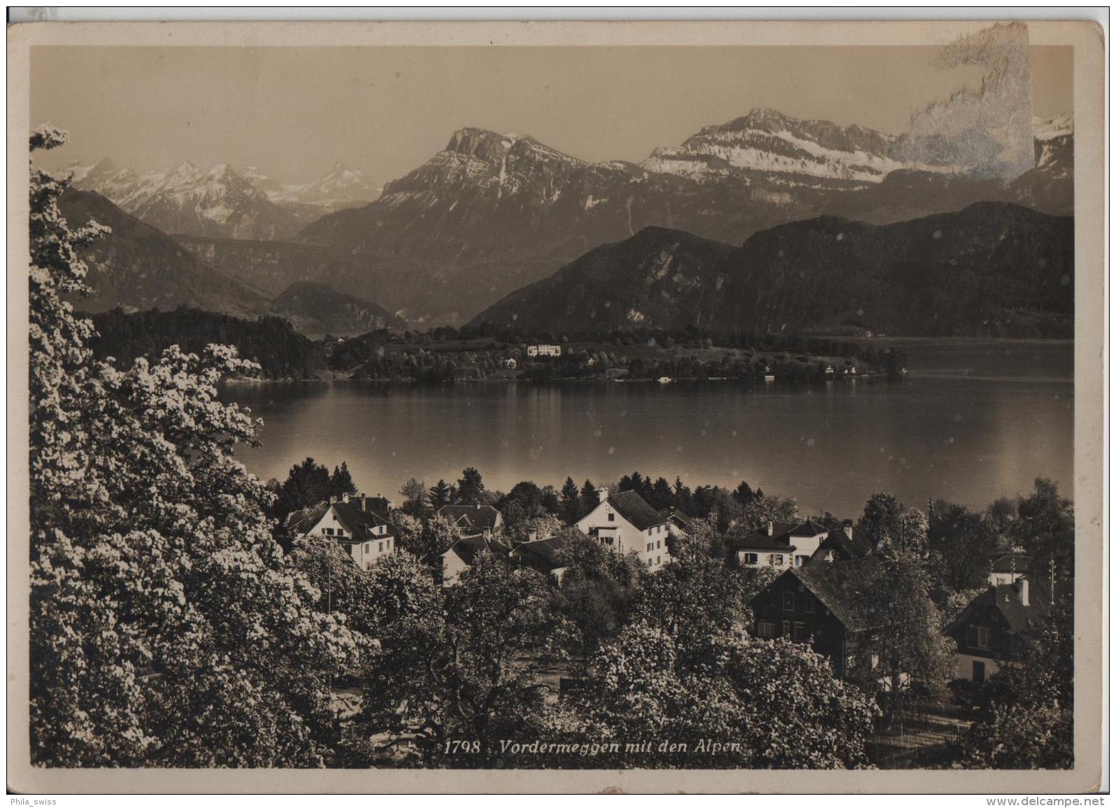 Vordermeggen Mit Den Alpen Im Frühling - Meggen