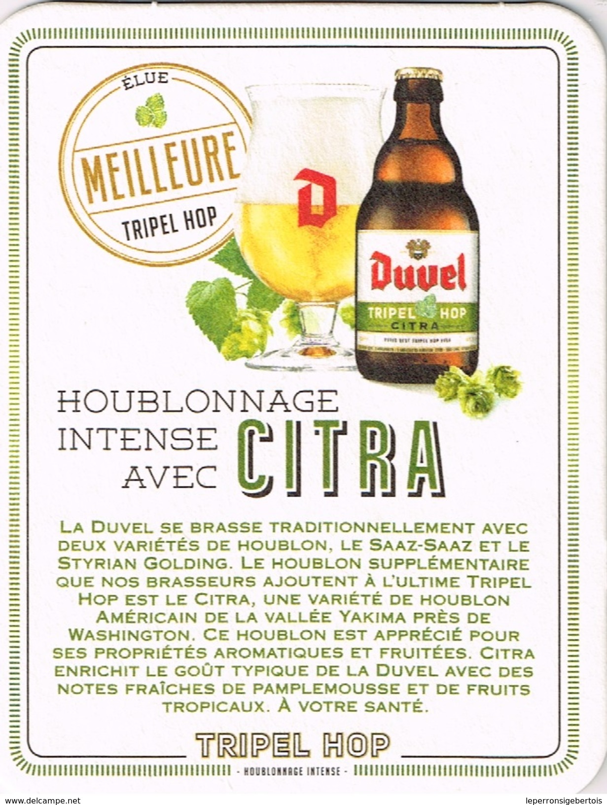 Sous-bock - Duvel CITRA - Meilleure Triple Hop - Sous-bocks