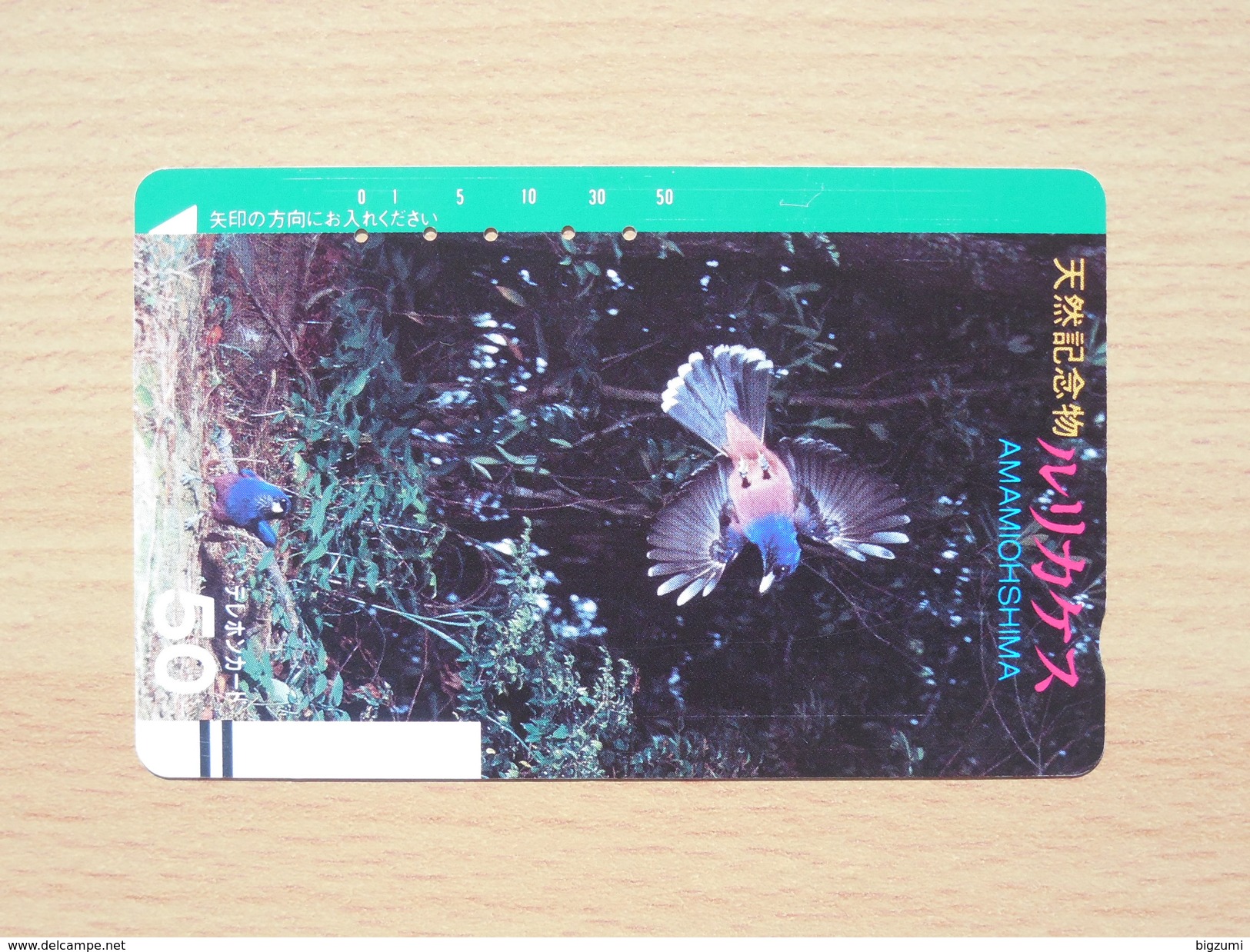 Japon Japan Free Front Bar, Balken Phonecard - 110-4319 / Amamioshima - Songbirds & Tree Dwellers