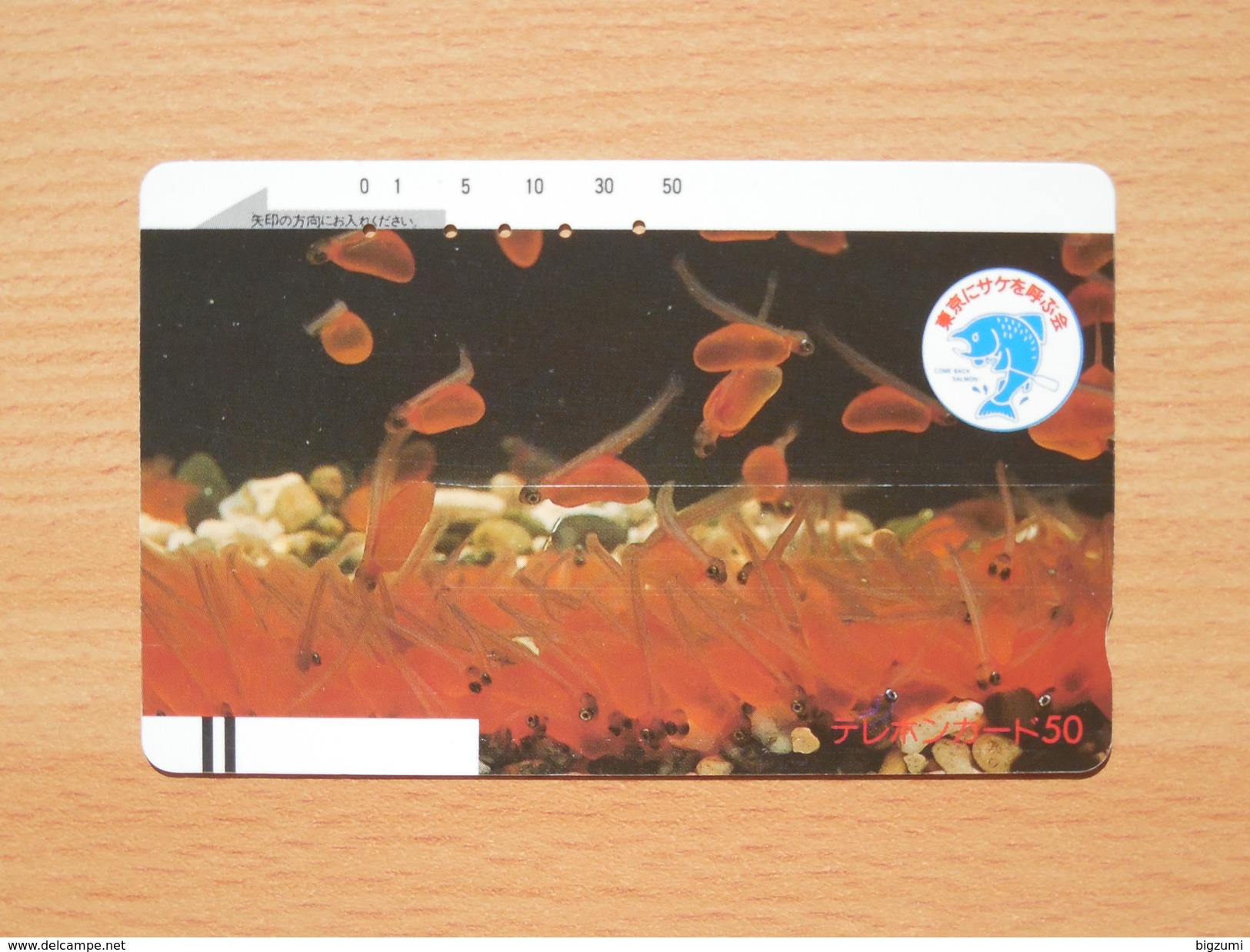 Japon Japan Free Front Bar, Balken Phonecard - 110-4328 / Fische, Fish, Poisson / Lachs - Sperlingsvögel & Singvögel