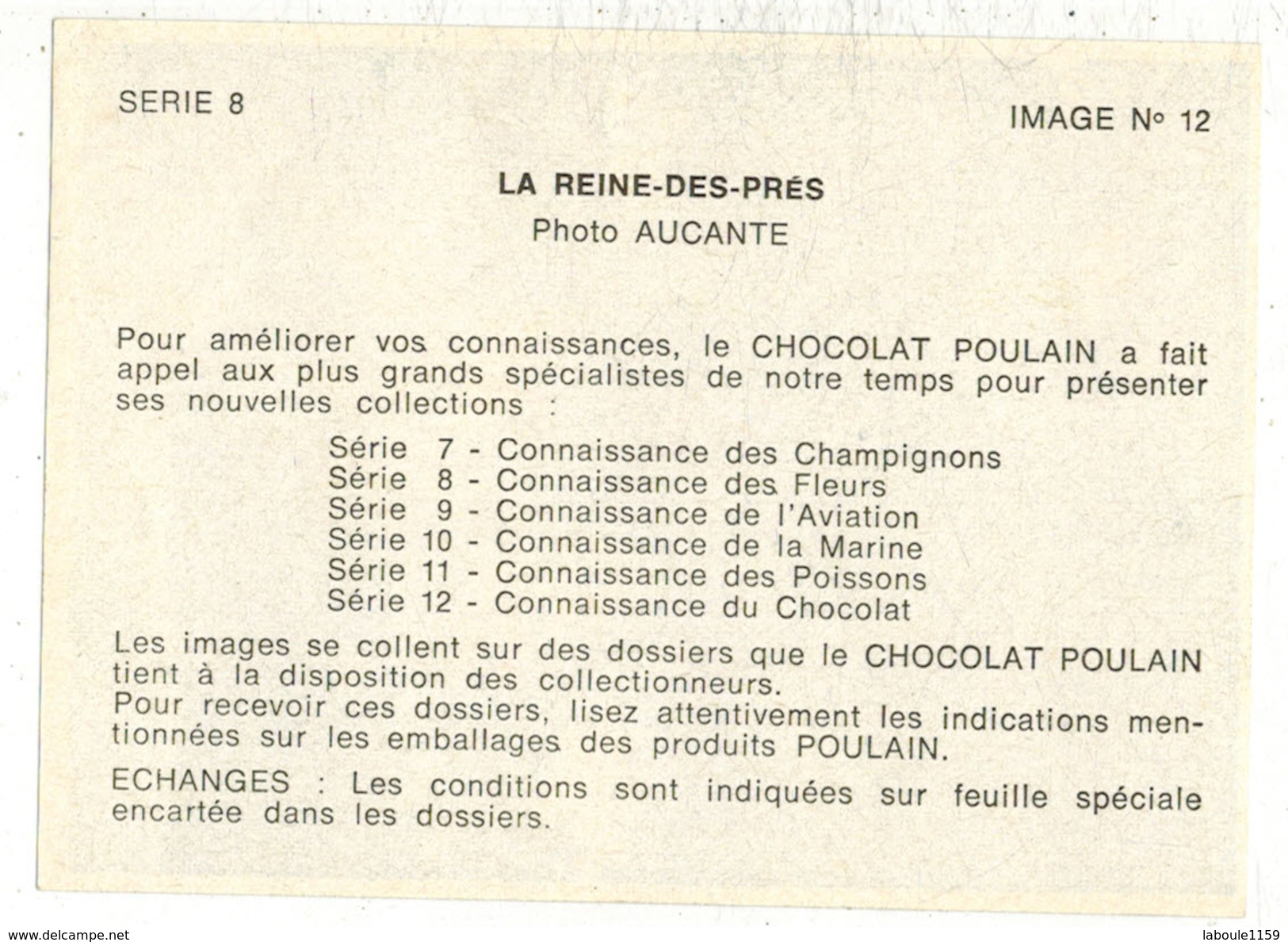 Image Chocolat Poulain Série N° 8 Connaissance Des Fleurs => Image N° 12 LA REINE DES PRES - Poulain