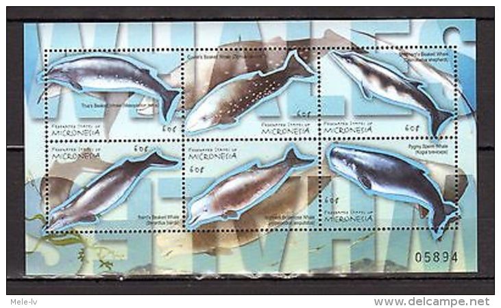 Micronesia Whales MNH -(K-2) - Marine Life