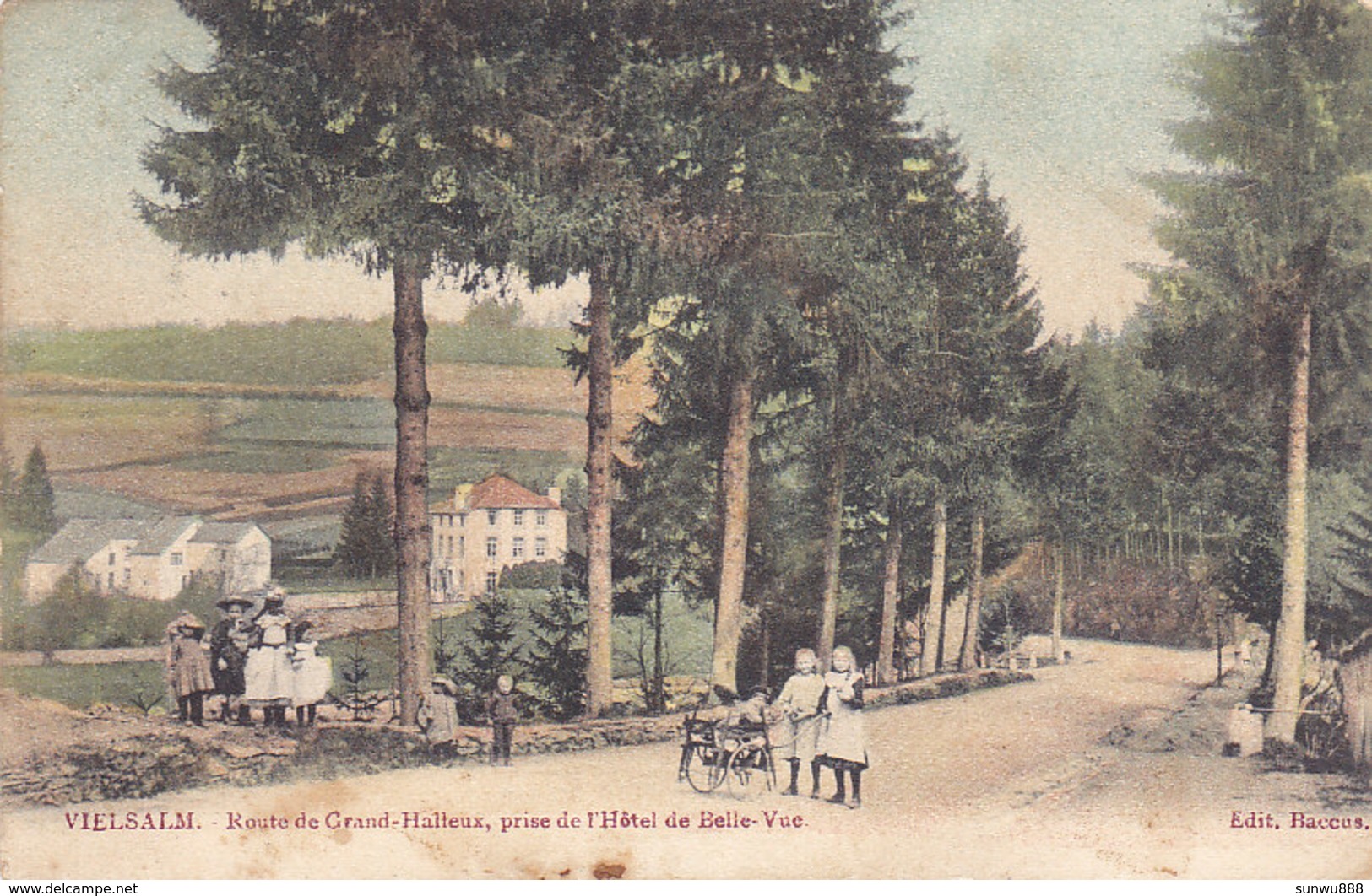 Vielsam - Route De Grand-Halleux, Prise De L'Hôtel De Belle-Vue (animée, Colorisée, Edit Baccus) - Vielsalm