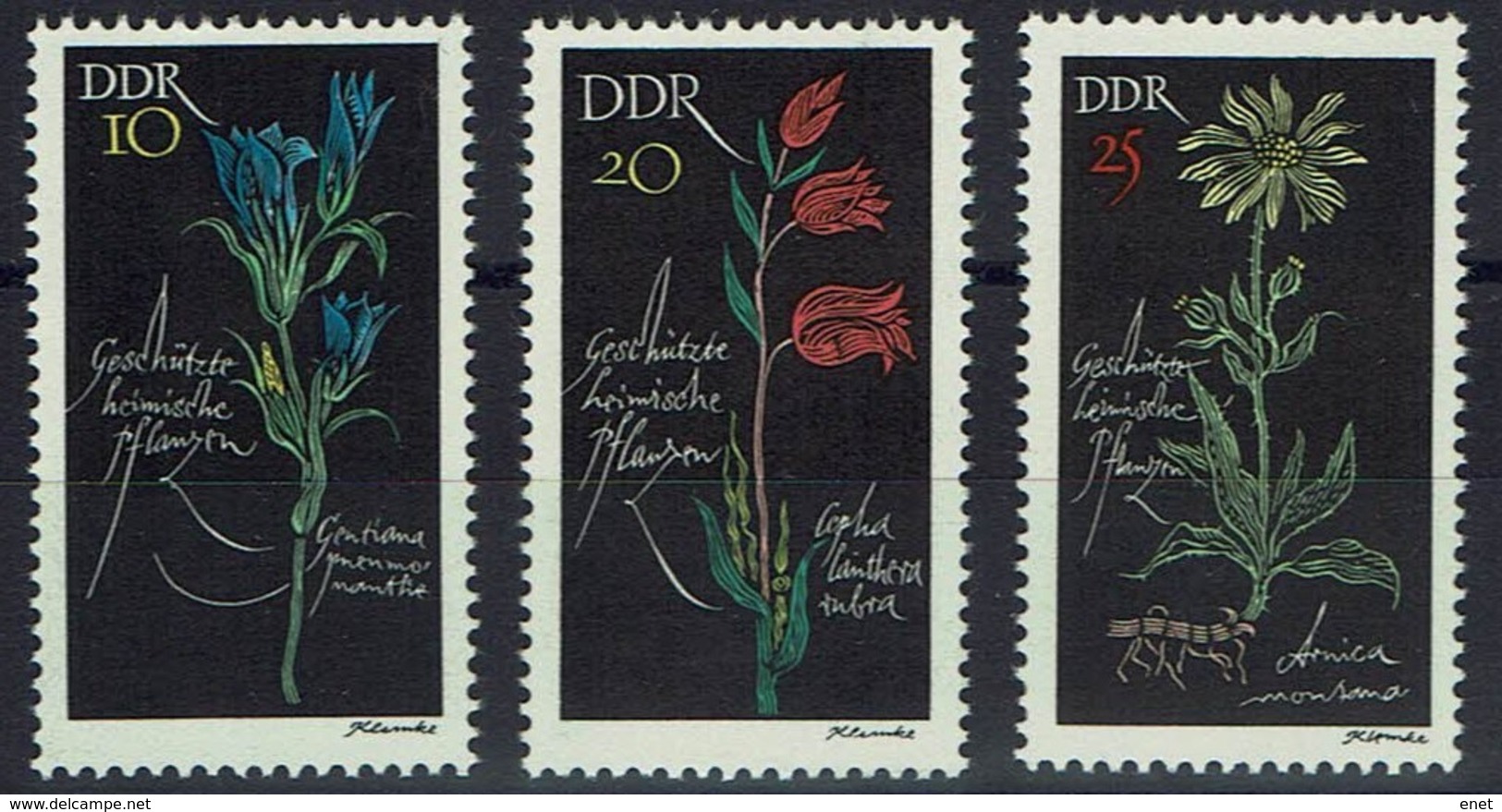 DDR 1966 - MiNr 1242-1244 - Geschützte Heimische Pflanzen - Lungenenzian, Rotes Waldvögelein, Bergwohlverleih - Sonstige & Ohne Zuordnung