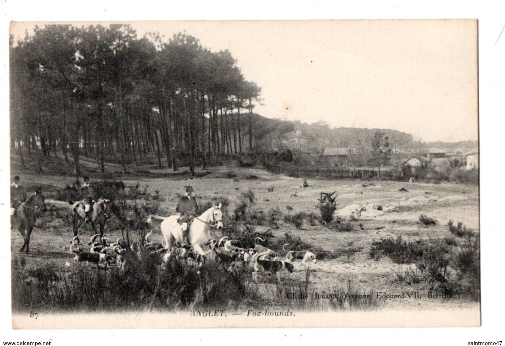 64 - ANGLET . FOX-HOUNDS - Réf. N°2497 - - Anglet