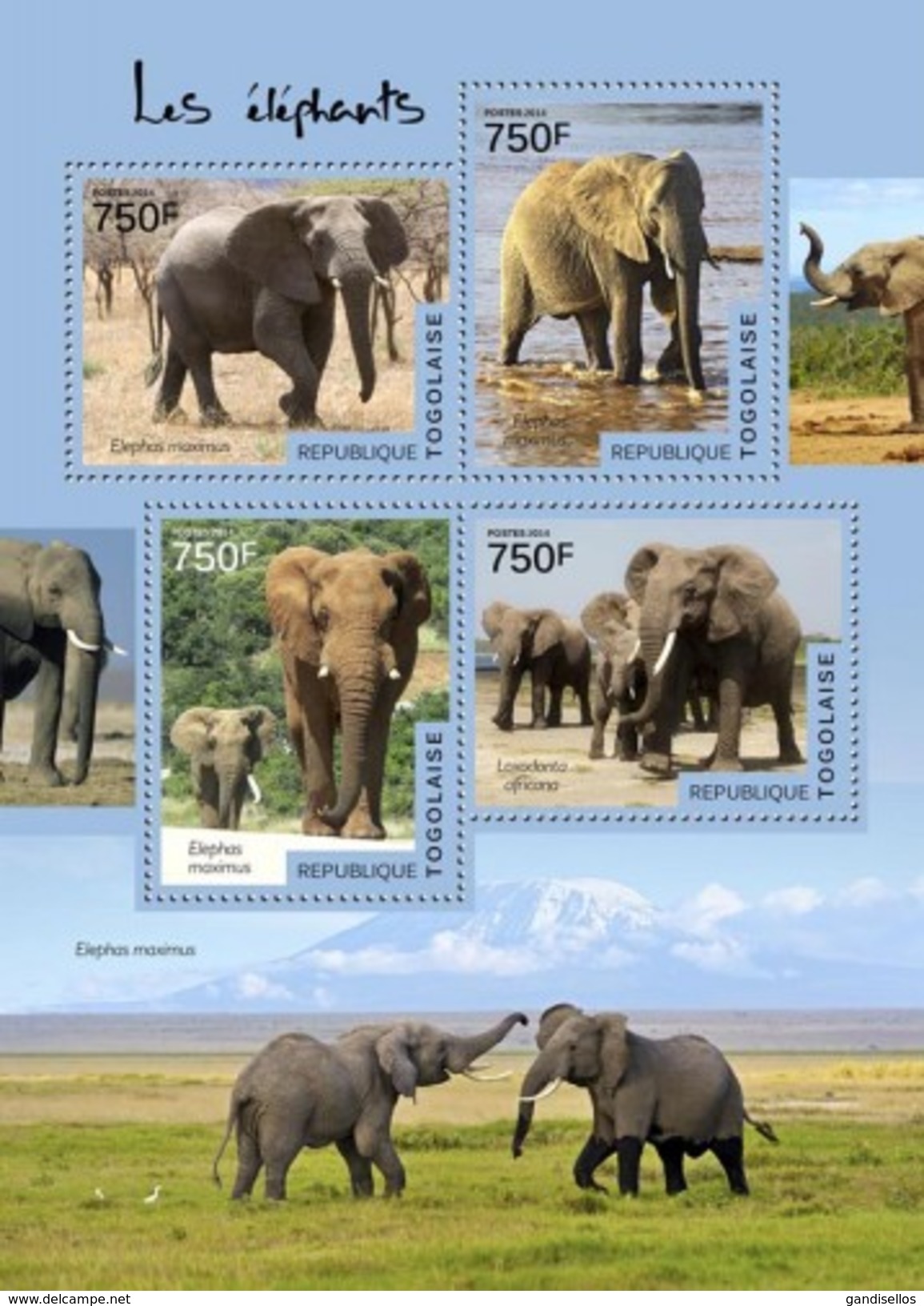 TOGO 2014 SHEET ELEFANTES ELEPHANTS ELEFANTEN ELEFANTI WILDLIFE Tg14512a - Togo (1960-...)