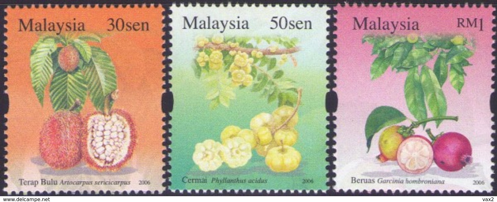 Malaysia 2006 S#1083-1086 Rare Fruits Set+M/S MNH Flora Fruit - Malaysia (1964-...)