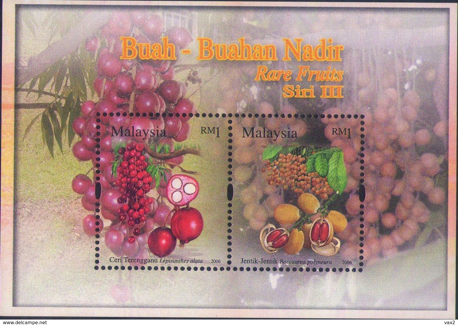 Malaysia 2006 S#1083-1086 Rare Fruits Set+M/S MNH Flora Fruit - Malaysia (1964-...)