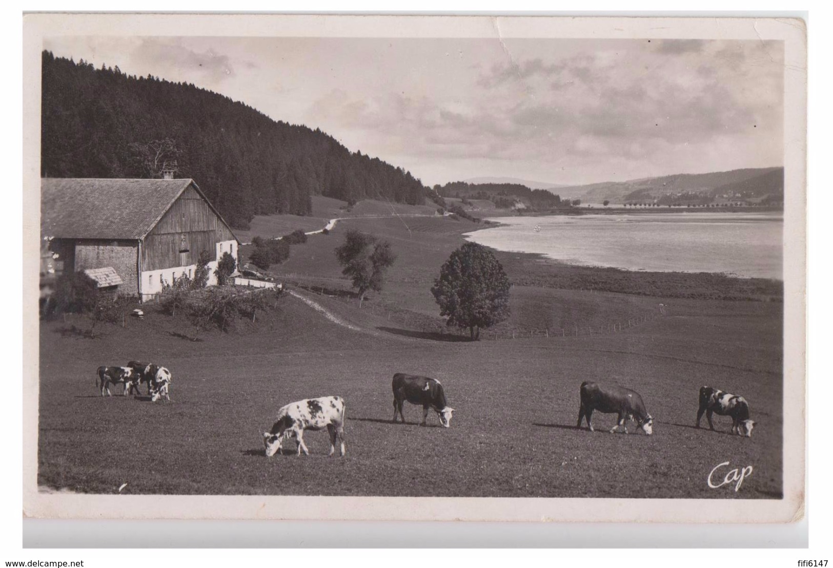 DOUBS -- ENVIRONS DE PONTARLIER-- LE LAC DE REMORAY -- - Pontarlier