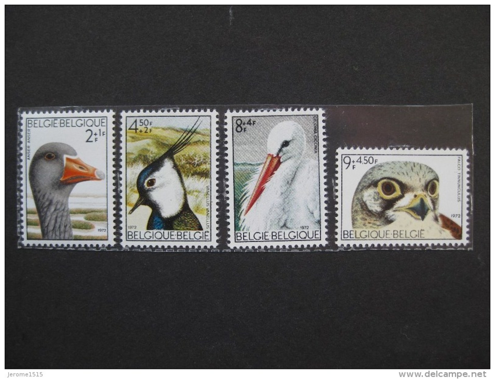 Timbres Belgique : Oiseaux   COB N° 1652 à S 1655 ** - Neufs