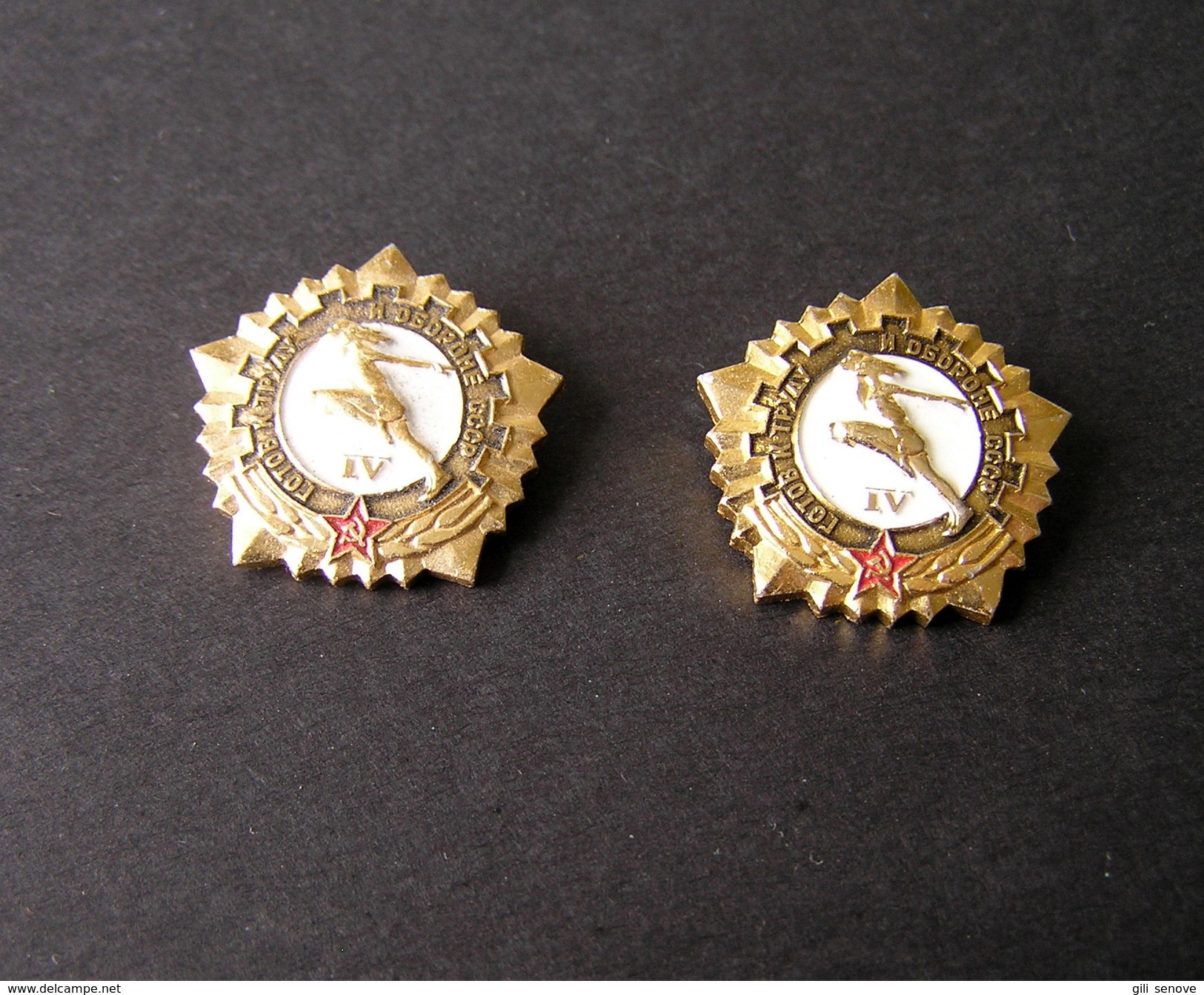 1970s USSR Russia Ready For Civil Defense And Labor IV Degree Pin Badges - Rusia