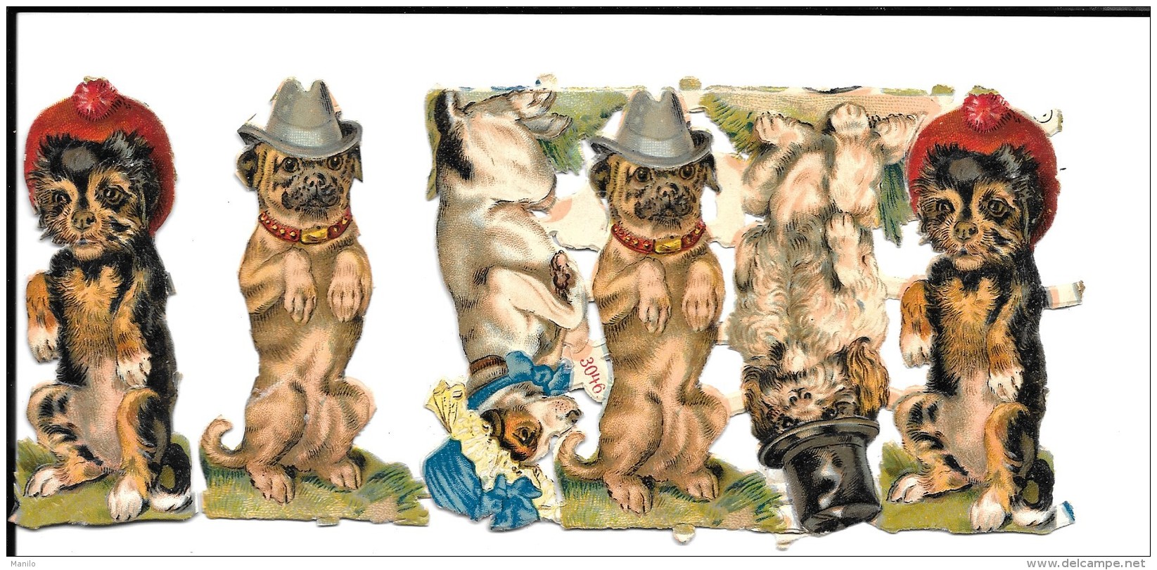 6 Chromo  Découpis De CHIENS  A CHAPEAU -    8.5 Cm        N° 3046 - Animaux