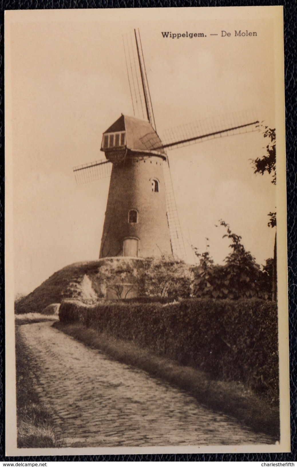 FOTO ( Moederfoto ?) - WIPPELGEM - DE MOLEN - Evergem