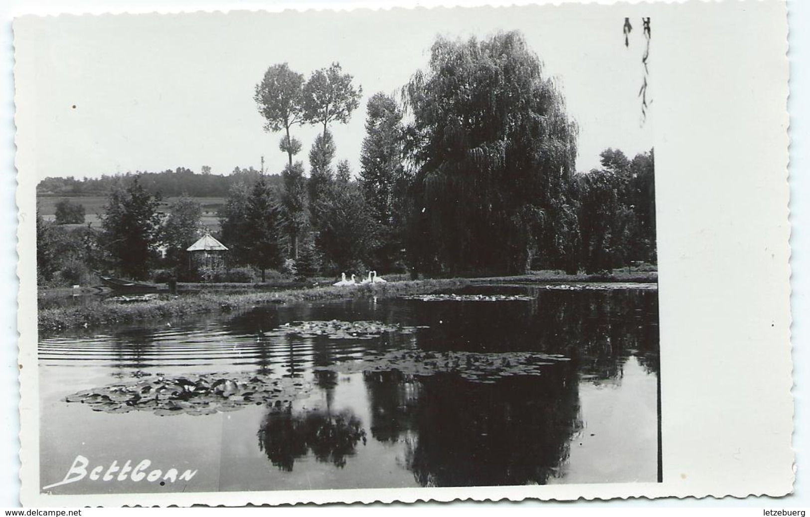 Bettborn (Bieberech) - Panorama (Foto-Karte) - Autres & Non Classés