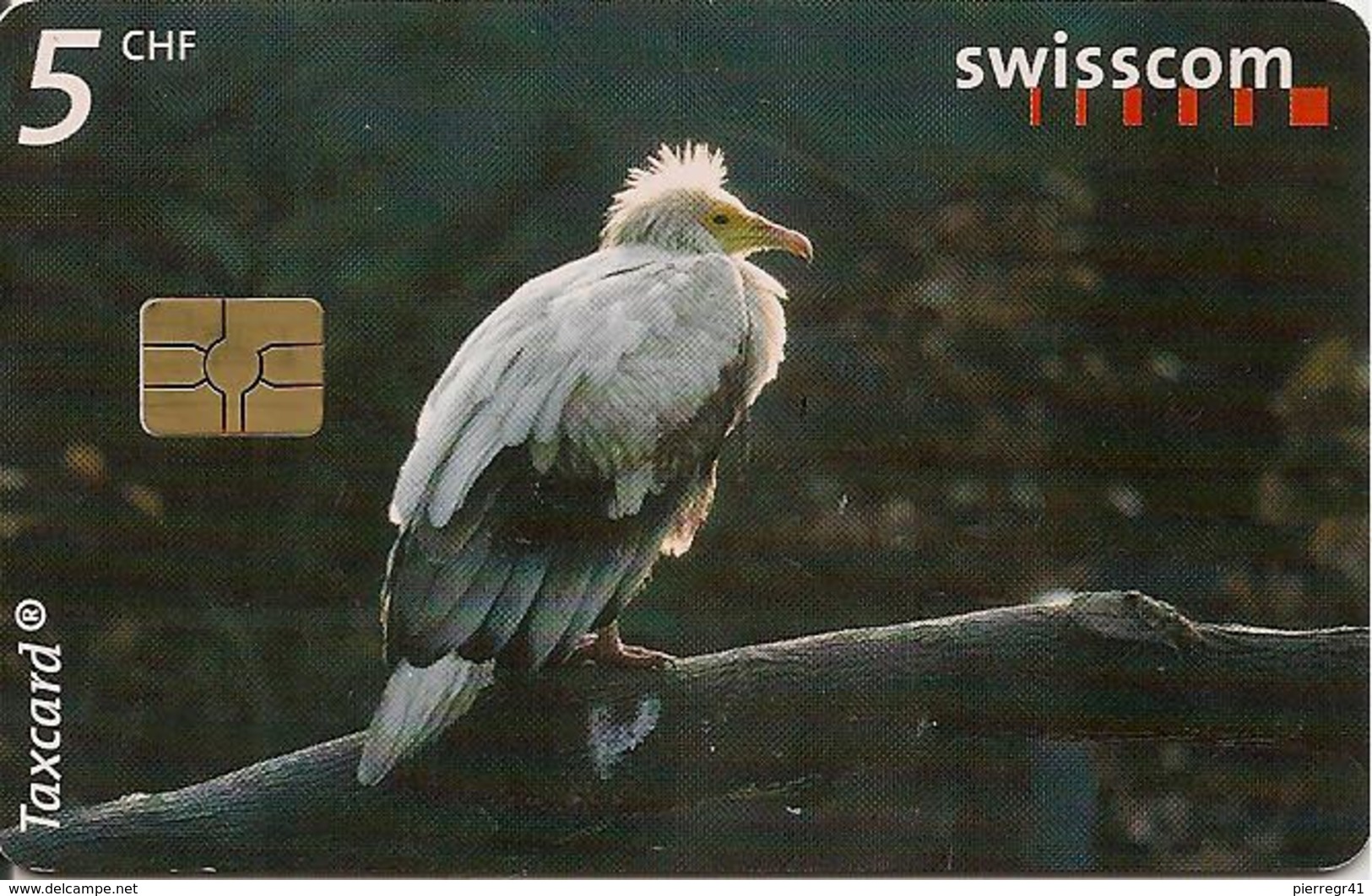 CARTE-PUCE-SUISSE-5CHF-VAUTOUR PERCNOPTERE-TBE- - Eagles & Birds Of Prey