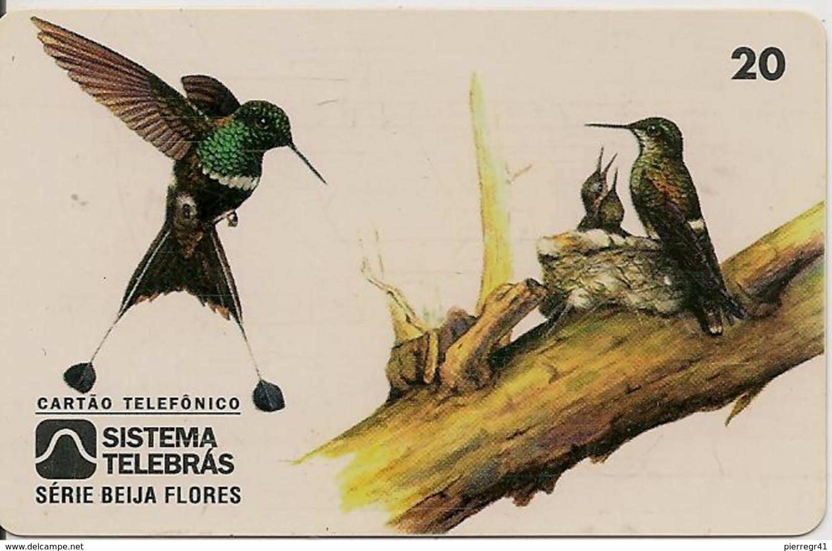 CARTE-MAGNETIQUE-BRESIL-3/97-OISEAU MOUCHE-TBE - Pájaros Cantores (Passeri)